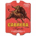 Vintage Personalized Tequila Pub Sign Vintage Personalized Tequila Pub Sign