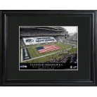 Seattle Seahawks Stadium Print 